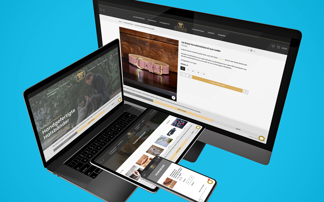 PulseConnect UG Projet - Création de boutique Shopify et optimisation SEO