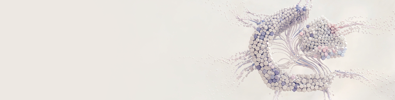 CRENEO GmbH Headerbild