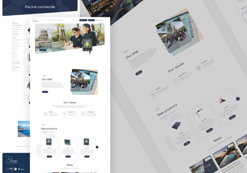 Smotly Projet - CCEI - site web d'entreprise et plateforme B2B | STRAPI