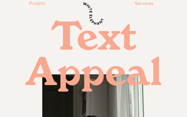 Pam Studio Projet - White Elephant