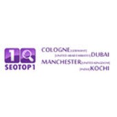 SEOTOP1 Logo