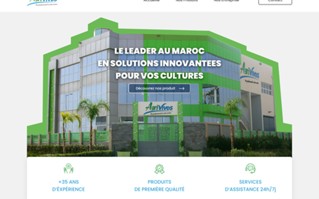 VIRALWAVE Projet - DÉVELOPPEMENT DE SITE WEB