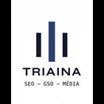 Triaina - SEO/GSO Logo