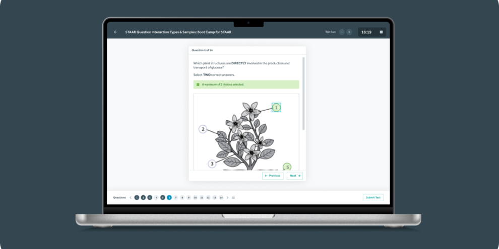 Bamboo Agile Projet -