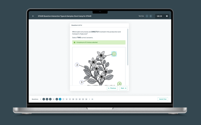 Bamboo Agile Projet - QTI-Player pour les tests