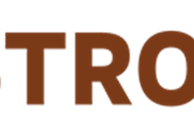 Vigorous IT Solutions Projet - https://astro.vigorousit.com/