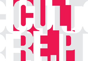 Ratioweb Projet - Culture.pl, Assistance et développement