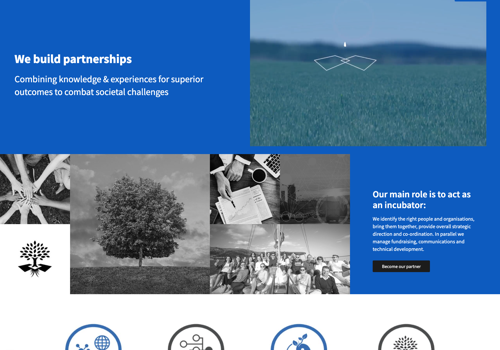 FYB Romania Projet - The Synergist