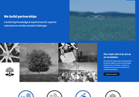 FYB Romania Projet - The Synergist