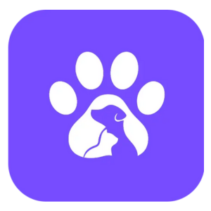 Inceptives Digital Projet -