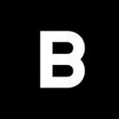 B-ICONIC GmbH & Co. KG Logo