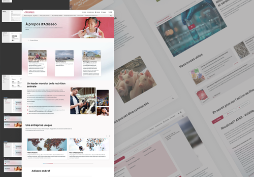 Adisseo : site web international | STRAPI & Next.js