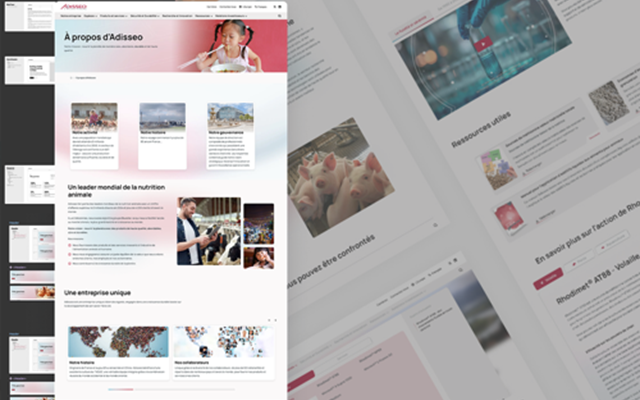 Smotly Projet - Adisseo : site web international | STRAPI & Next.js
