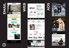 Algofy Projet - Optimiser le parcours client : de la publicité au site web