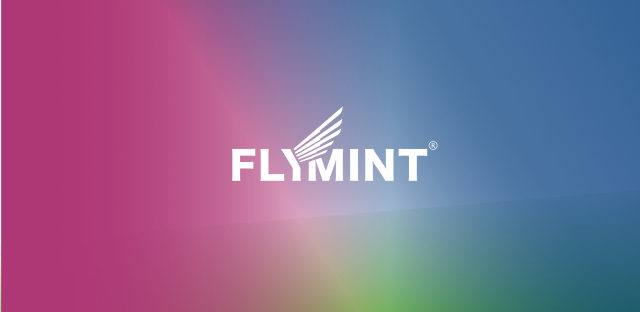 Flymint GmbH Headerbild