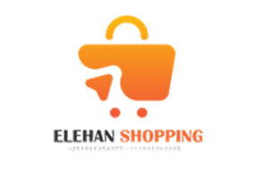 IT ETHIOPIA Projet - Société de commerce électronique Elehanshopping