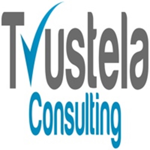 Trustela Consulting- Digital Marketing Agency in Florida USALogo