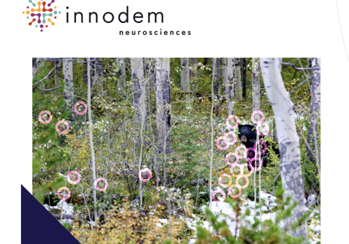 10xStudio Projet -