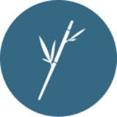 Bamboo Consulting