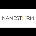 Namestorm Logo