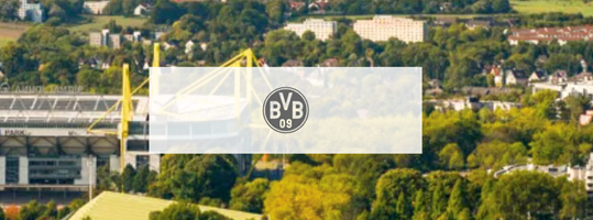 The Reach Group GmbH Projet - Une vraie passion : un marketing d’affiliation performant