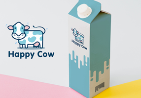 Boostbase Group Projet - Identité de marque du fabricant de lait