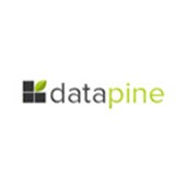 datapine Logo