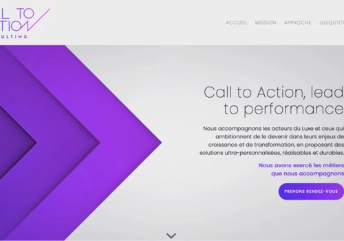 site web calltoaction-conseil.com