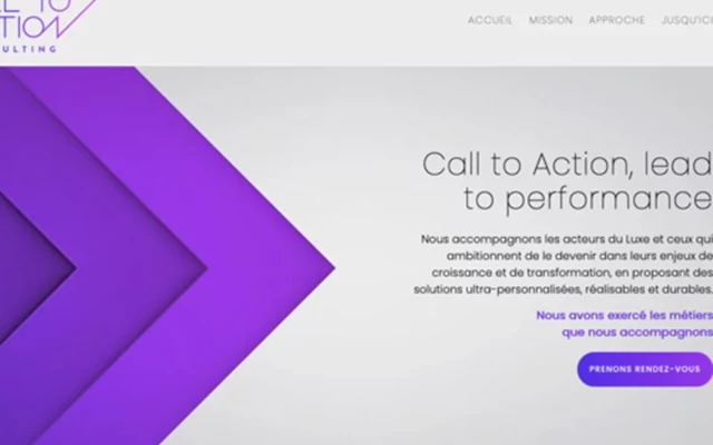 Limbus Studio Projet - site web calltoaction-conseil.com