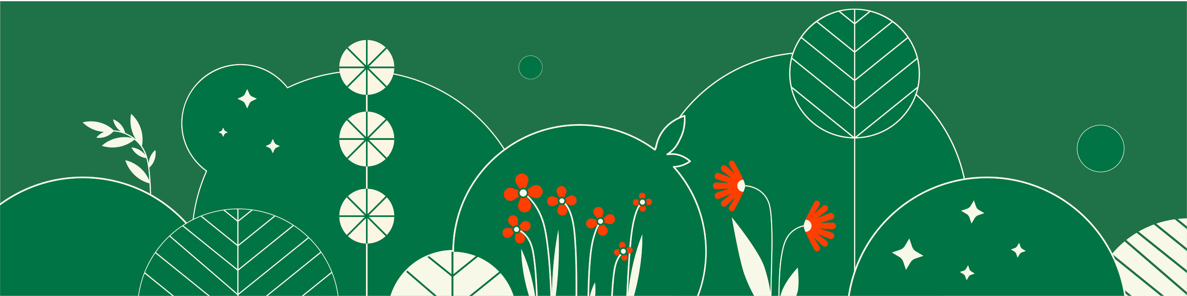 SEED Studio UG (haftungsbeschränkt) Headerbild
