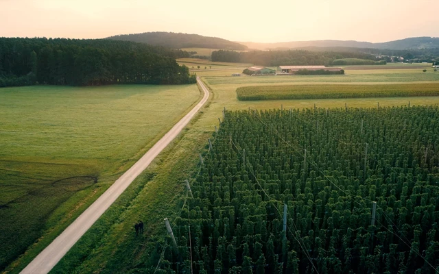 lichtschreiber Projet - 100% bio, 0% compromis