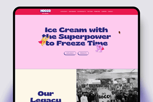Elsner Technologies Pvt. Ltd. Projet - Hocco