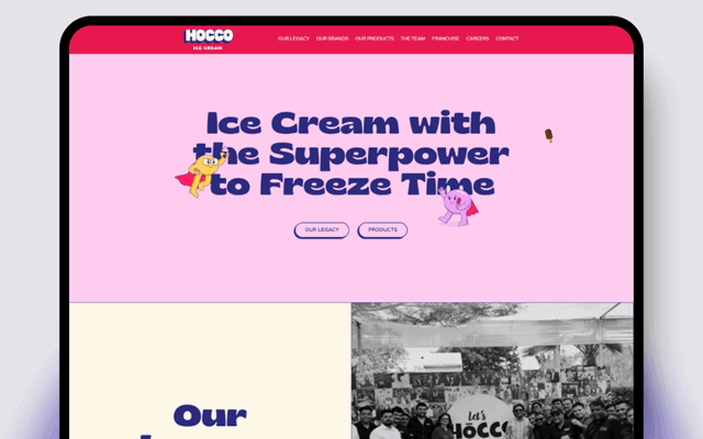 Elsner Technologies Pvt. Ltd. Projet - Hocco