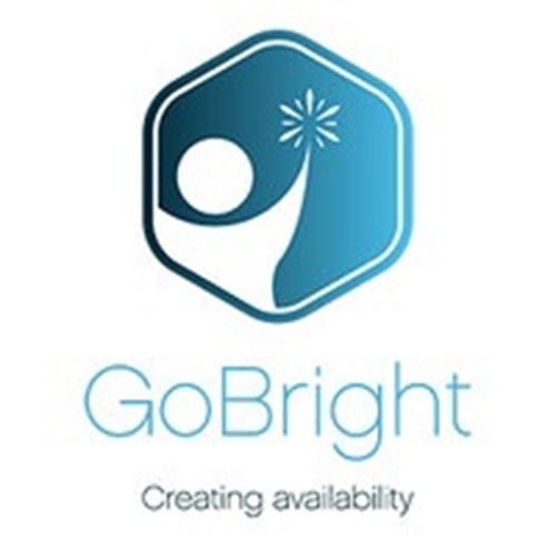 GoBright BVLogo