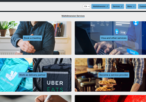 Entity Systems Projet - Multidimension Services