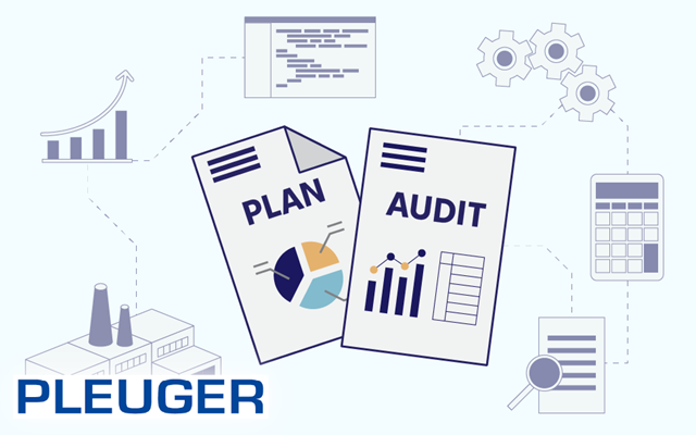 Chudovo OÜ Projet - Audit IT pour le fabricant industriel