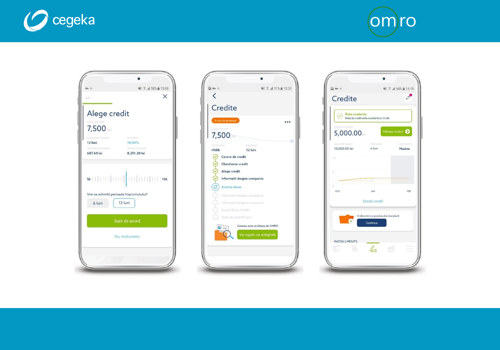 Cegeka Romania Projet - La solution rapide et flexible pour les petites entreprises