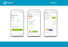 Cegeka Romania Projet - La solution rapide et flexible pour les petites entreprises