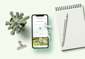 UX-MAN Projet -