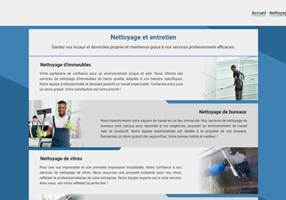 Entity Systems Projet - Nettoyage Pro Express