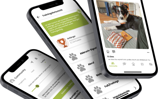 NEON Software Solutions GmbH Projet - Hundeuniversität