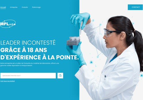 DÉVELOPPEMENT DE SITE WEB