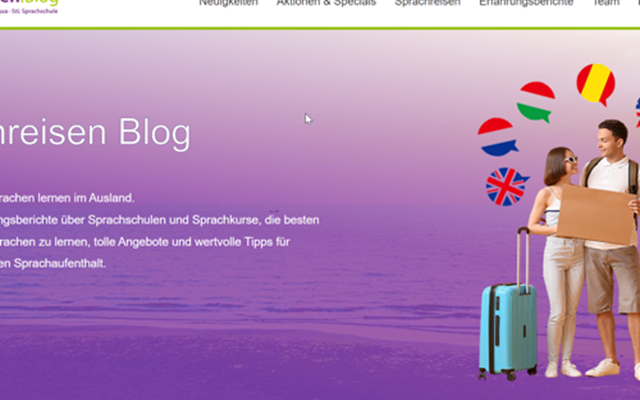 MS WEBDESIGN Projet -