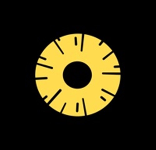 Pineapple DesignLogo