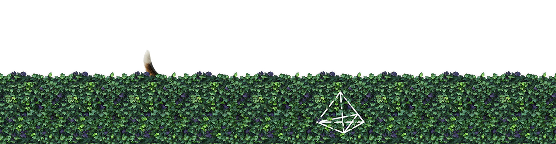 comprisma GmbH Headerbild